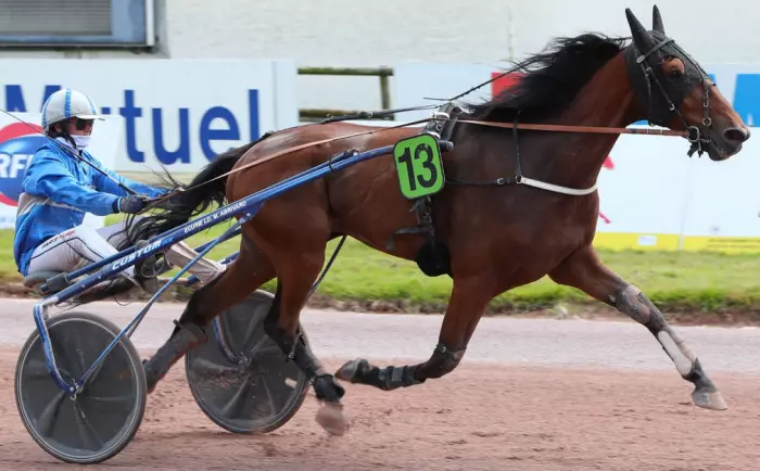 Lord Turgot favori du quinté du jour à Vincennes - Prix Ariel