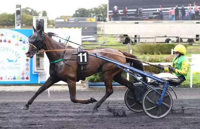 LORD DE BRION, le favori du quinté+ du jour à Vincennes - Prix Bruna (04/09/2026)