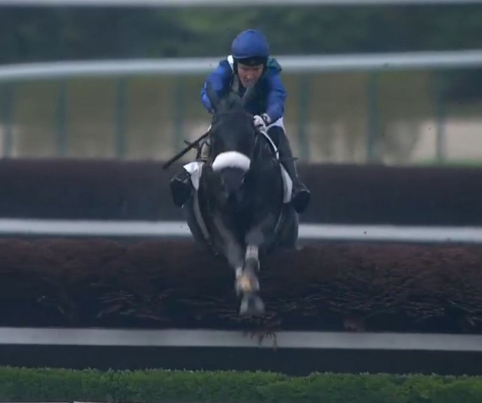 Saut de la dernière Haie du Prix Serge Landon 2025 - LOSANGE BLEU (Johnny CHARRON) gagnant du PRIX SERGE LANDON 2025 sur l'hippodrome d'Auteuil