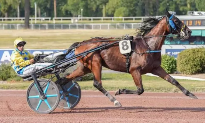 LOVE YOU PHYT'S, le favori du quinté+ du jour à Enghien - Prix des Grandes Carrières (12/08/2026)