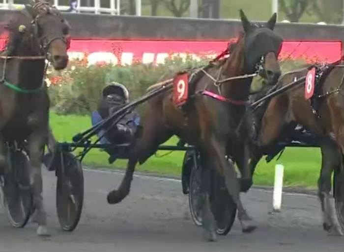 LOVINO BELLO drivé par Eric RAFFIN Vainqueur du Prix de l'Étoile 2024 sur l'hippodrome de Paris Vincennes