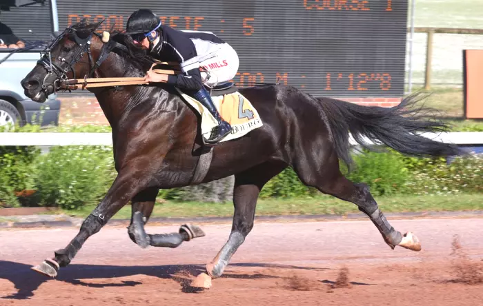 MACAHAN, le favori du quinté+ du jour à Cabourg - Grand Prix de la Ville de Cabourg 2026 (17/07/2026)