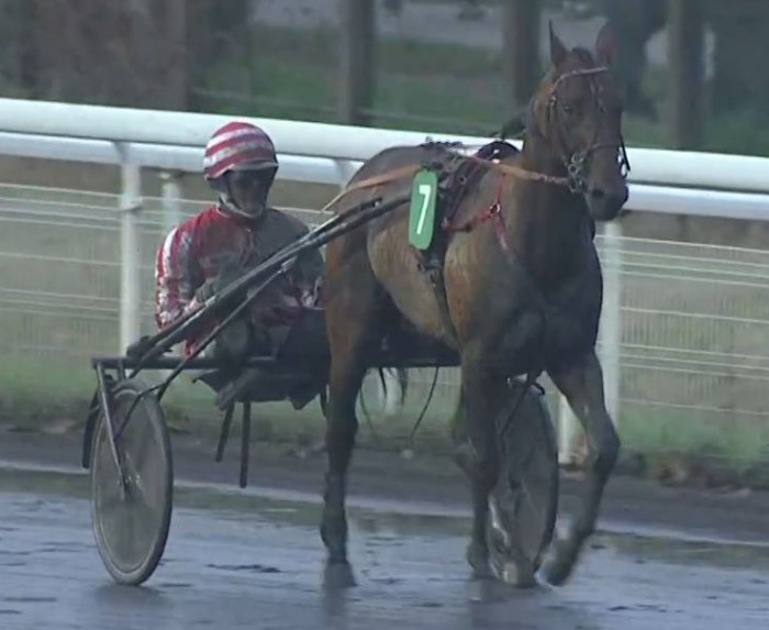 MACK DE BLARY drivé par Théo DUVALDESTIN Vainqueur du Prix de l'Étoile 2025 sur l'hippodrome de Paris Vincennes