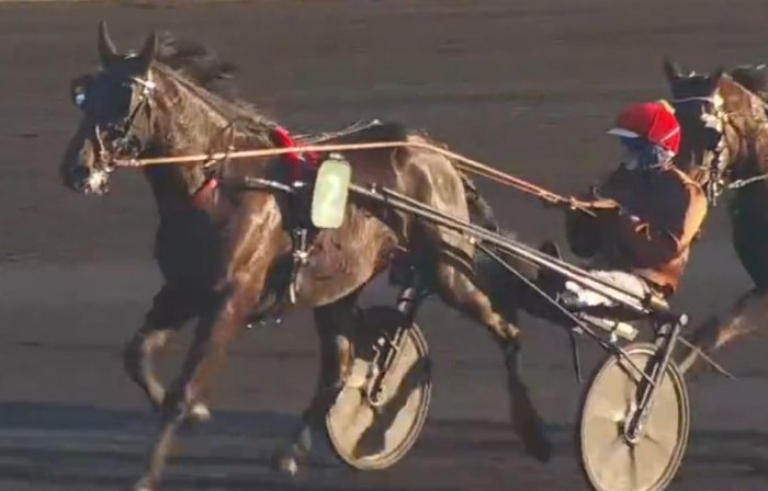 PRIX OURASI 2026 et la victoire de MAESTRO VRIE driv&eacute; par Mathieu Mottier