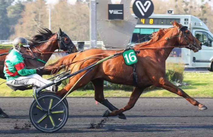 MENTOR DE PLAY, le favori du Prix Jules Thibault 2026, quinté+ du jour à Vincennes (06/06/2026)