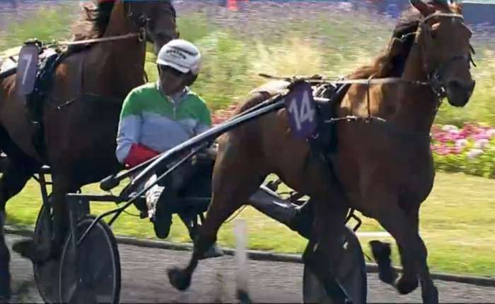 MILLE ÉTOILES drivée par Jean-Michel BAZIRE remporte le Prix Albert Viel 2025