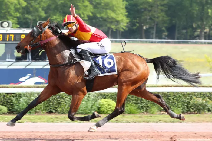 MISS DES BESACES montée par Alan GENDROT gagnante du Prix René Ballière 2026 - QUALIF 2 ÉTRIER DES 4 ANS