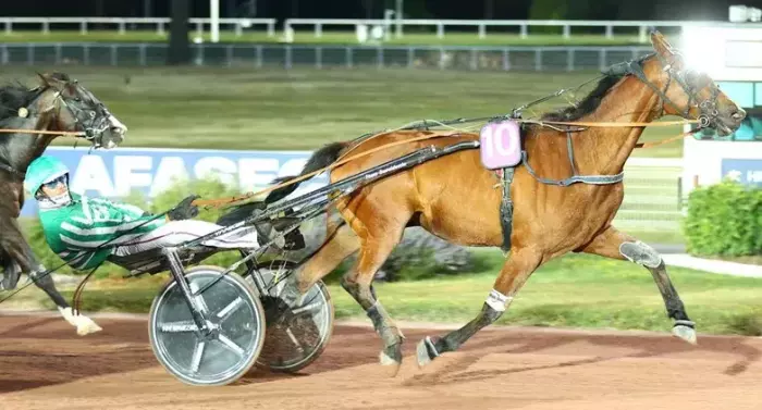MONTANA KALOUMA, le favori du quinté+ du jour à Enghien - Prix de Picpus (22/07/2026)