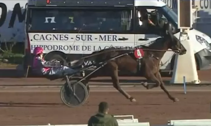 MOUSTACHE, le favori du quinté+ du jour à Vincennes - Prix Eucharis (18/09/2026)