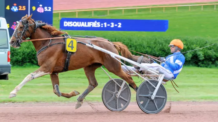 MUST DREAM, le favori du quinté+ du jour à Cabourg - Prix Fabien Rossolini (14/08/2026)