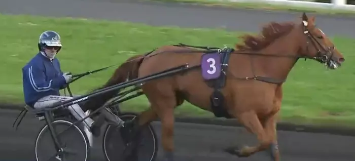 Mystery Queen, le favori du quinté+ du jour à Vincennes, Prix de Preuilly (10/03/2026) 