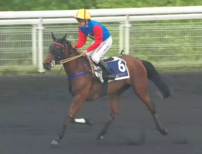 NASSANDRA montée par Adrien Lamy gagnante du Prix Hemine 2026 - QUALIF 4 ÉTRIER DES 3 ANS 2026