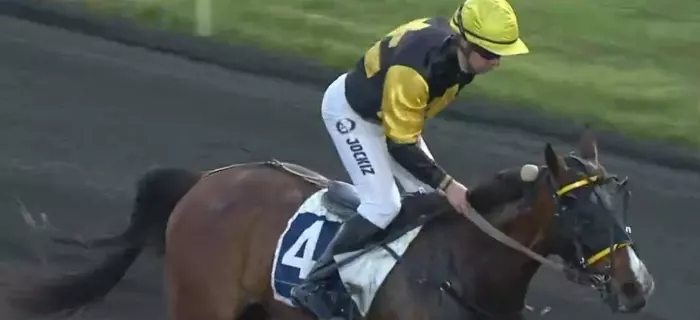 NIZZA ROCCA montée par Alexis Collette gagnante du Prix Ali Hawas 2026 - QUALIF 1 ÉTRIER DES 3 ANS NIZZA ROCCA montée par Alexis Collette gagnante du Prix Ali Hawas 2026 - QUALIF 1 ÉTRIER DES 3 ANS