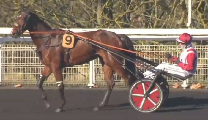 PRIX ROQUEPINE 2026 et la victoire de NORMANDIE NIEMEN driv&eacute; par David Thomain