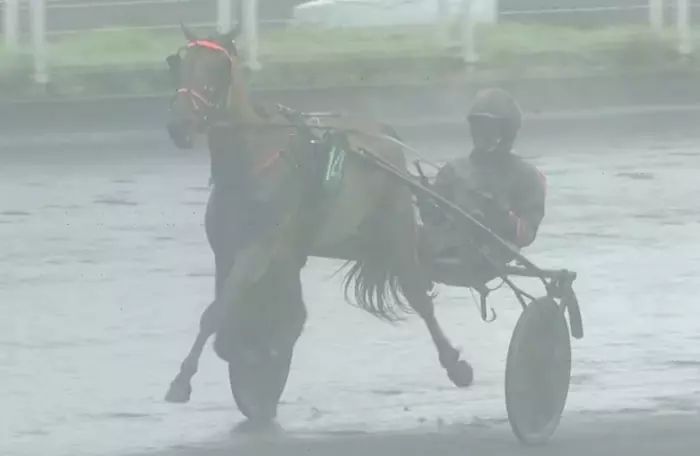 PRIX COMTE PIERRE DE MONTESSON 2026 et la victoire de NOVICE DU CHOQUEL drivée par François LAGADEUC sur l'hippodrome de Paris Vincennes