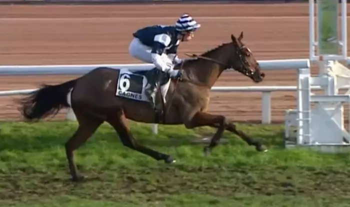 Priam du Mesnil favori du quinté du jour à Compiègne - Prix de la Rochelle