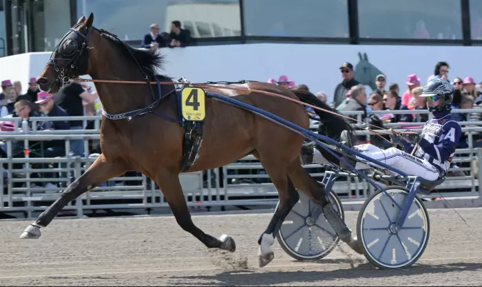 READLY LAVEC, le favori du quinté+ du jour à Laval - Prix de Beaune (19/08/2026)