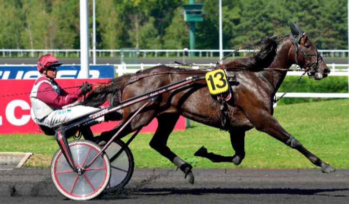 Ready Cash associé à Franck Nivard