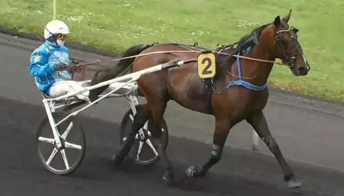 ROCKY MOM (Jules Van Den Putte Jr.) Vainqueur du quinté du jour à Vincennes