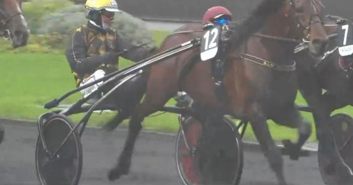 PRIX DU BOURBONNAIS 2023 et la victoire de SAN MOTEUR drivé par Bjorn GOOP