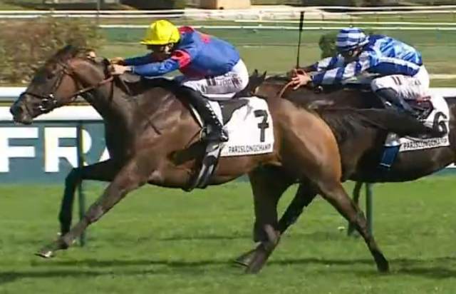 SAUTERNE (Tony PICCONE) gagnante du PRIX DU MOULIN DE LONGCHAMP 2023 sur l'hippodrome de Longchamp