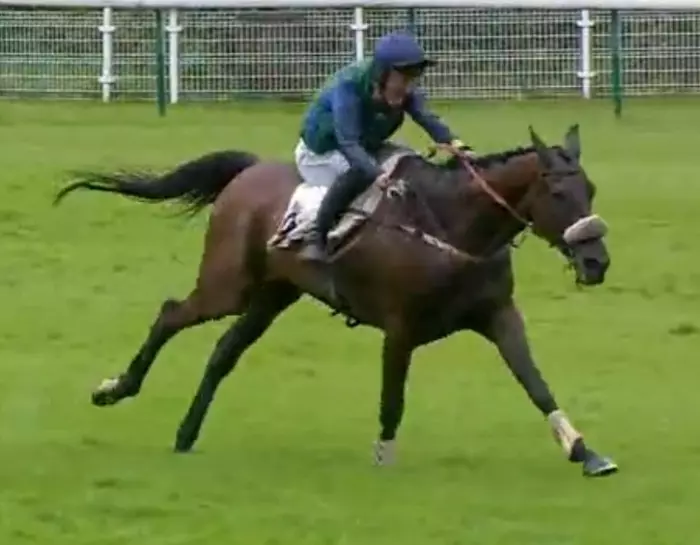 SEL JEM (Johnny CHARRON) gagnant du Grand Steeple-Chase de Paris 2026 à Auteuil