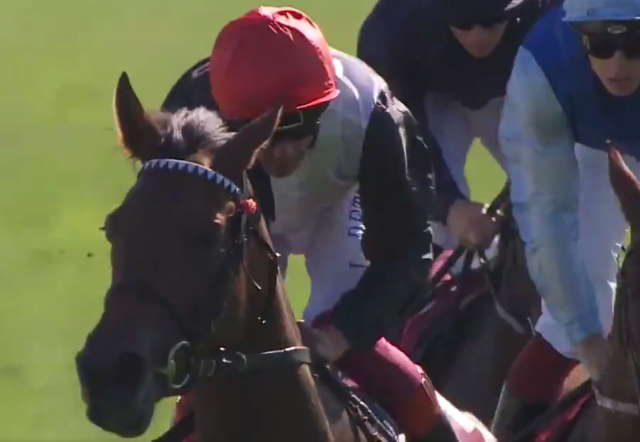STAR CATCHER (Lanfranco DETTORI) gagnant du PRIX VERMEILLE 2019