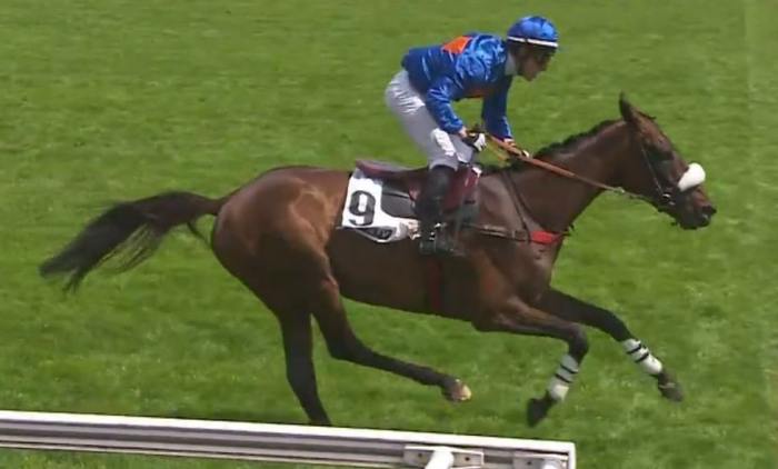 THELEME (Gaetan MASURE) gagnant de la GRANDE COURSE DE HAIES D'AUTEUIL 2023