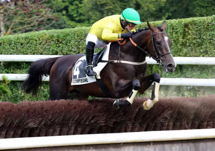 Titi de Paris favori du quinté du jour à Auteuil - Grande Course de Haies de Printemps 2026 (GIII)