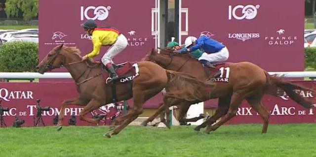 TORQUATOR TASSO (René PIECHULEK) gagnant du PRIX DE L'ARC DE TRIOMPHE 2021 sur l'hippodrome de Longchamp