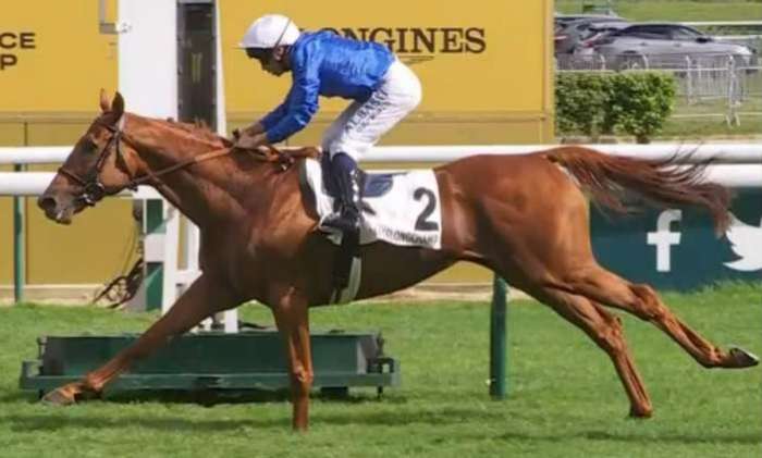 TRIBALIST (Mickael BARZALONA) gagnant du PRIX DU MOULIN DE LONGCHAMP 2024 sur l'hippodrome de Longchamp