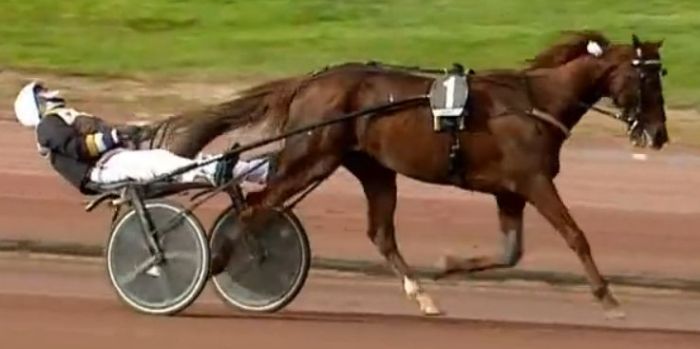 GRAND CRITÉRIUM DE VITESSE DE LA CÔTE-D'AZUR 2024 et la victoire de VERNISSAGE GRIF drivé par Alessandro GOCCIADORO sur l'hippodrome de Cagnes-Sur-Mer
