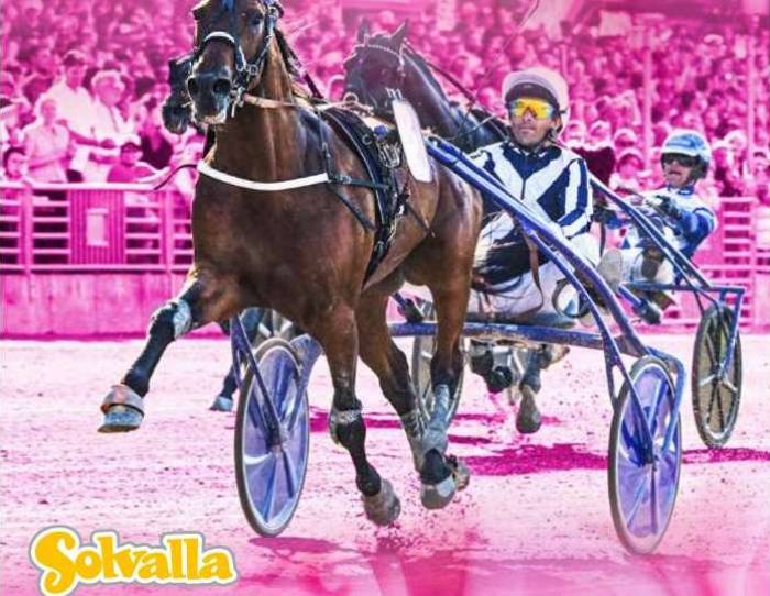 Visuel ELITLOPPET 2025 à SOLVALLA en Suède Visuel ELITLOPPET 2025 à SOLVALLA en Suède