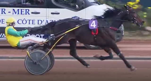 VIVID WISE AS drivé par Alessandro GOCCIADORO gagnant du GRAND CRITÉRIUM DE VITESSE DE LA CÔTE-D'AZUR 2020 à Cagnes-Sur-Mer