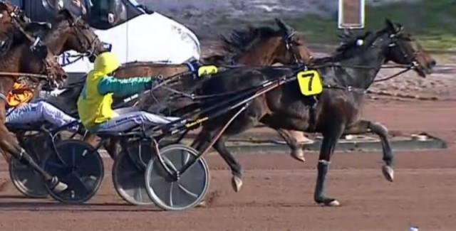 GRAND CRITÉRIUM DE VITESSE DE LA CÔTE-D'AZUR 2023 et la victoire de VIVID WISE AS drivé par Matthieu ABRIVARD sur l'hippodrome de Cagnes-Sur-Mer