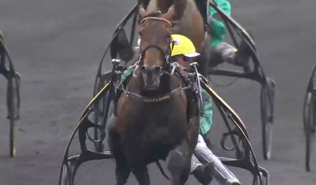 VIVID WISE AS drivé par Matthieu ABRIVARD gagnant du PRIX RENÉ BALLIÈRE 2022 à Vincennes