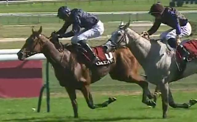 WARM HEART (James-William DOYLE) gagnante du PRIX VERMEILLE 2023 sur l'hippodrome de Longchamp
