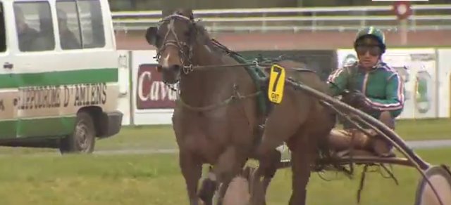 A NICE BOY gagnant de la 1ère étape du Grand National du Trot 2017 à AMIENS A NICE BOY gagnant de la 1ère étape du Grand National du Trot 2017 à AMIENS