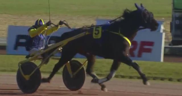 AERO KING (5 - Anthony BARRIER) gagnant de la 13ème étape du Grand National du Trot 2017 à MAUQUENCHY