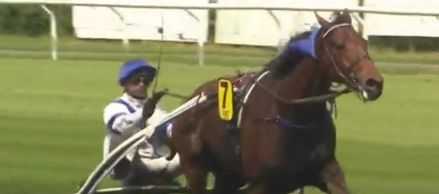 AFGHAN BARBES (Charles-Julien BIGEON) gagnant de la 5ème étape du Grand National du Trot 2017 au CROISÉ-LAROCHE