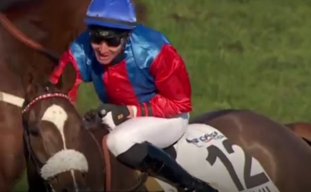 AMIJENKA gagnant du dernier quinté + de l'année sur l'hippodrome d'AUTEUIL AMIJENKA gagnant du dernier quinté + de l'année sur l'hippodrome d'AUTEUIL