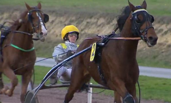 ANZI DES LIARDS gagnant de la 12ème étape du Grand National du Trot 2016 à NANTES ANZI DES LIARDS gagnant de la 12ème étape du Grand National du Trot 2016 à NANTES