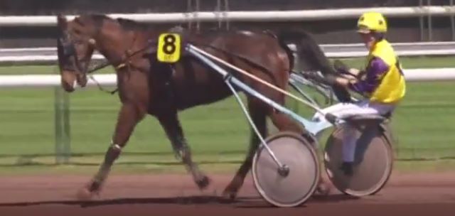 APRION gagnant de la 2ème étape du Grand National du Trot 2017 à MARSEILLE BORÉLY