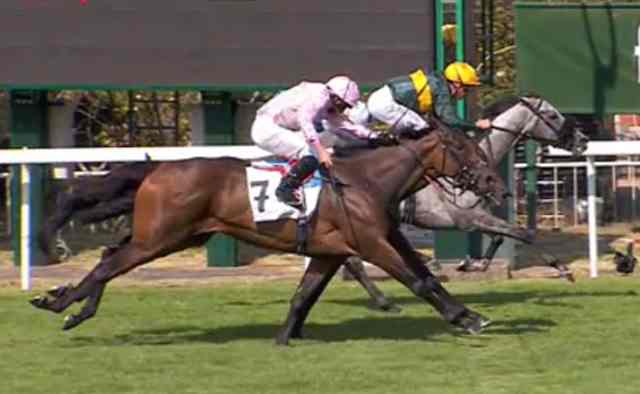 CORONET (Lanfranco DETTORI gagnant du GRAND PRIX DE SAINT-CLOUD 2019