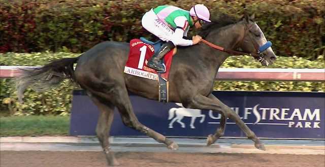 ARROGATE vainqueur de la DUBAI WORLD CUP 2017 ARROGATE vainqueur de la DUBAI WORLD CUP 2017