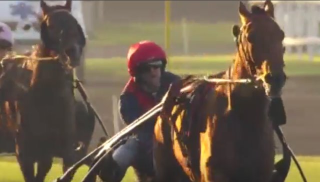 AUBRION DU GERS gagnant de la Finale du Grand National du Trot 2016 à VINCENNES AUBRION DU GERS gagnant de la Finale du Grand National du Trot 2016 à VINCENNES