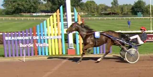 AUBRION DU GERS (Jean-Michel BAZIRE) gagnant du Grand Prix du Sud-Ouest 2017 à BEAUMONT-DE-LOMAGNE