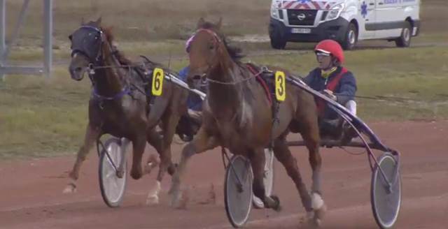 AUBRION DU GERS (Jean-Michel BAZIRE) gagnant du 41ème Grand Prix du Sud-Ouest 2017 à BORDEAUX LE-BOUSCAT