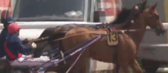 AUBRION DU GERS (Jean-Michel BAZIRE) gagnant du PRIX DES DUCS DE NORMANDIE 2018 sur l'hippodrome de la Prairie à Caen