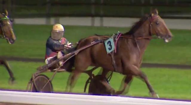 AUBRION DU GERS (3) gagnant du Grand Prix de la Toussaint 2018 à MONS GHLIN (Belgique)